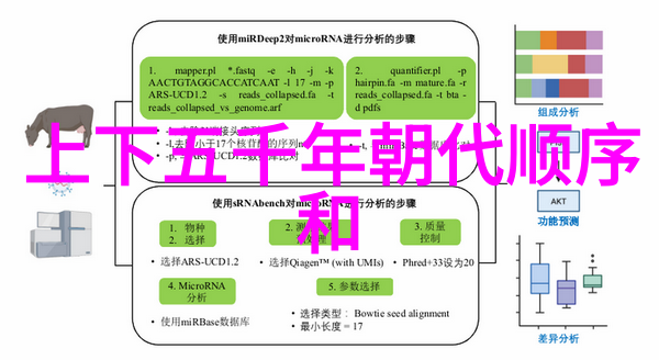 美女的书房
